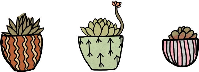 There's A Game Where You Just Take Care Of Succulents - Succulents Drawing Transparent (800x300)