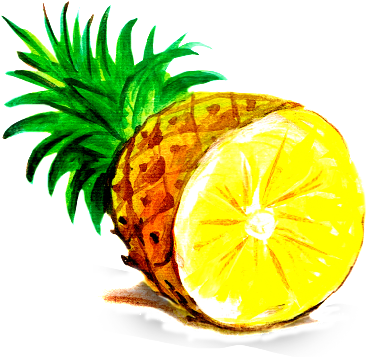 Pineapple Cartoon Transparent Material - Top Of Pineapple Cut On Basketweave Leash (1024x1472)