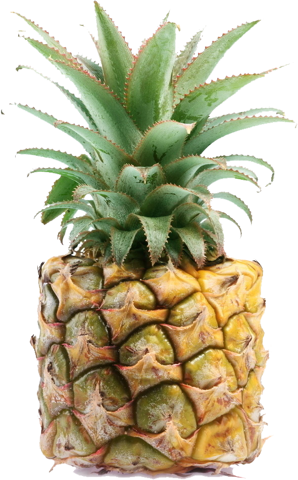 Juice Bubble Tea Pineapple Syrup Flavor - Juice Bubble Tea Pineapple Syrup Flavor (648x1024)