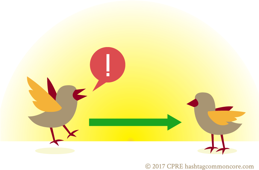 Reciprocity - Duck (864x576)