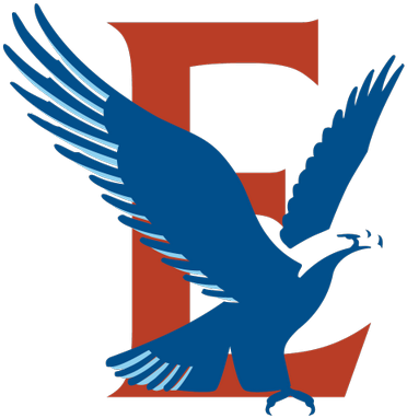 Estock Eagles - Hawk (400x400)