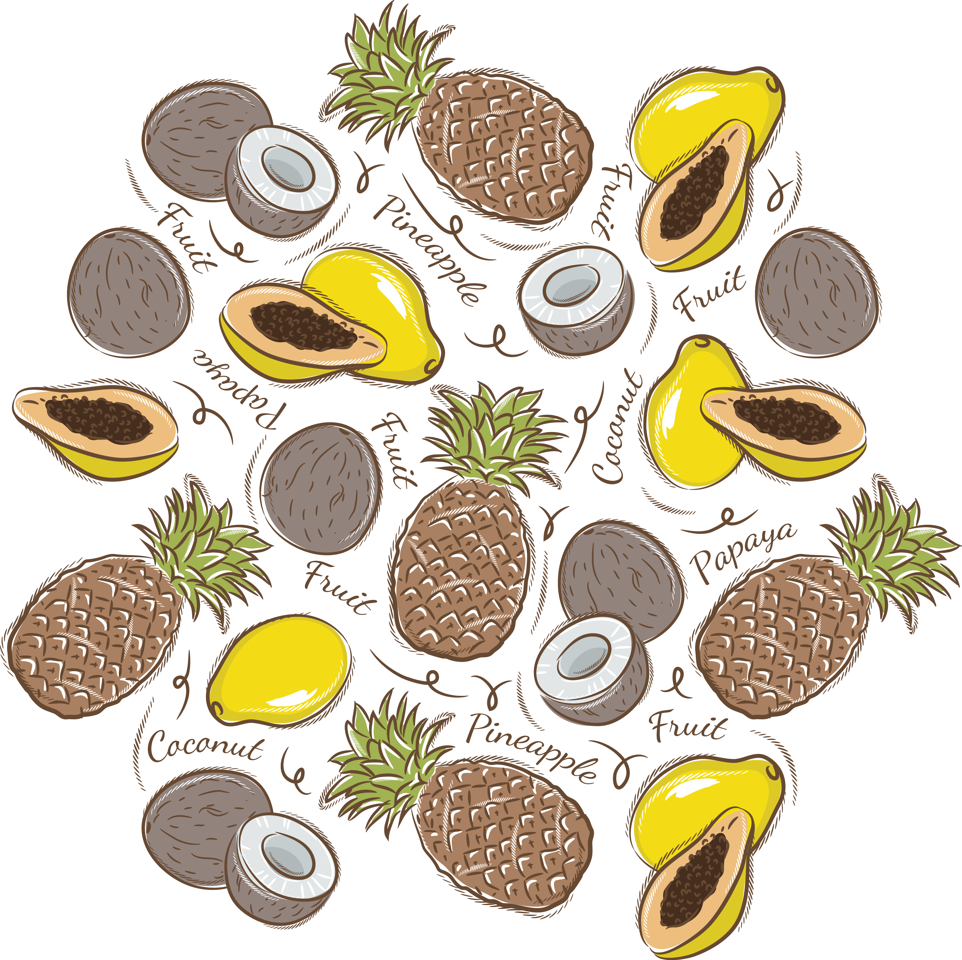 Pineapple Paper Coconut Fruit - Vector Graphics (3303x3298)