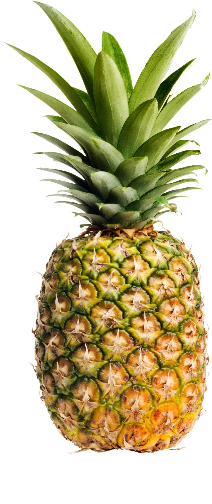 Transparent Pin Transparent Pineapple Tumblr - Yellow Pineapple (1132x1784)