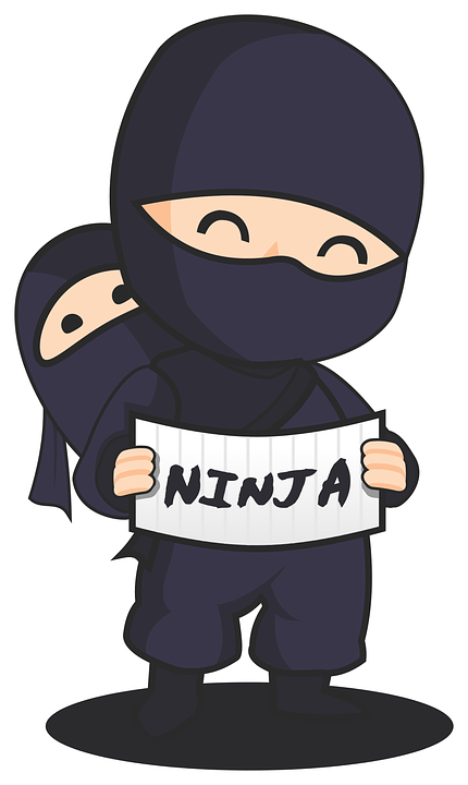 Photo Credit Pixabay - Kreslený Ninja (430x720)