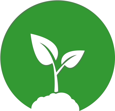 A Long Garden History - Teplitsy Rekord (400x400)