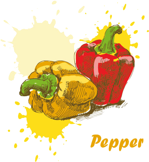 Breakfast Food Drawing Paint - Breakfast Food Drawing Paint (757x683)
