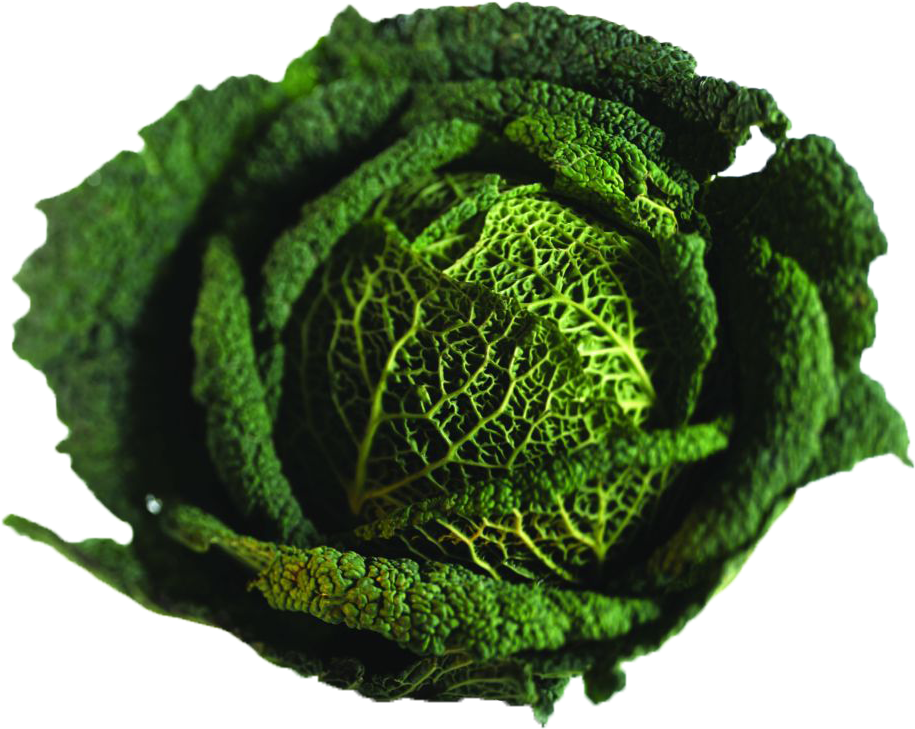 Savoy Cabbage Broccoli Vegetable Capitata Group - Savoy Cabbage Broccoli Vegetable Capitata Group (1200x848)