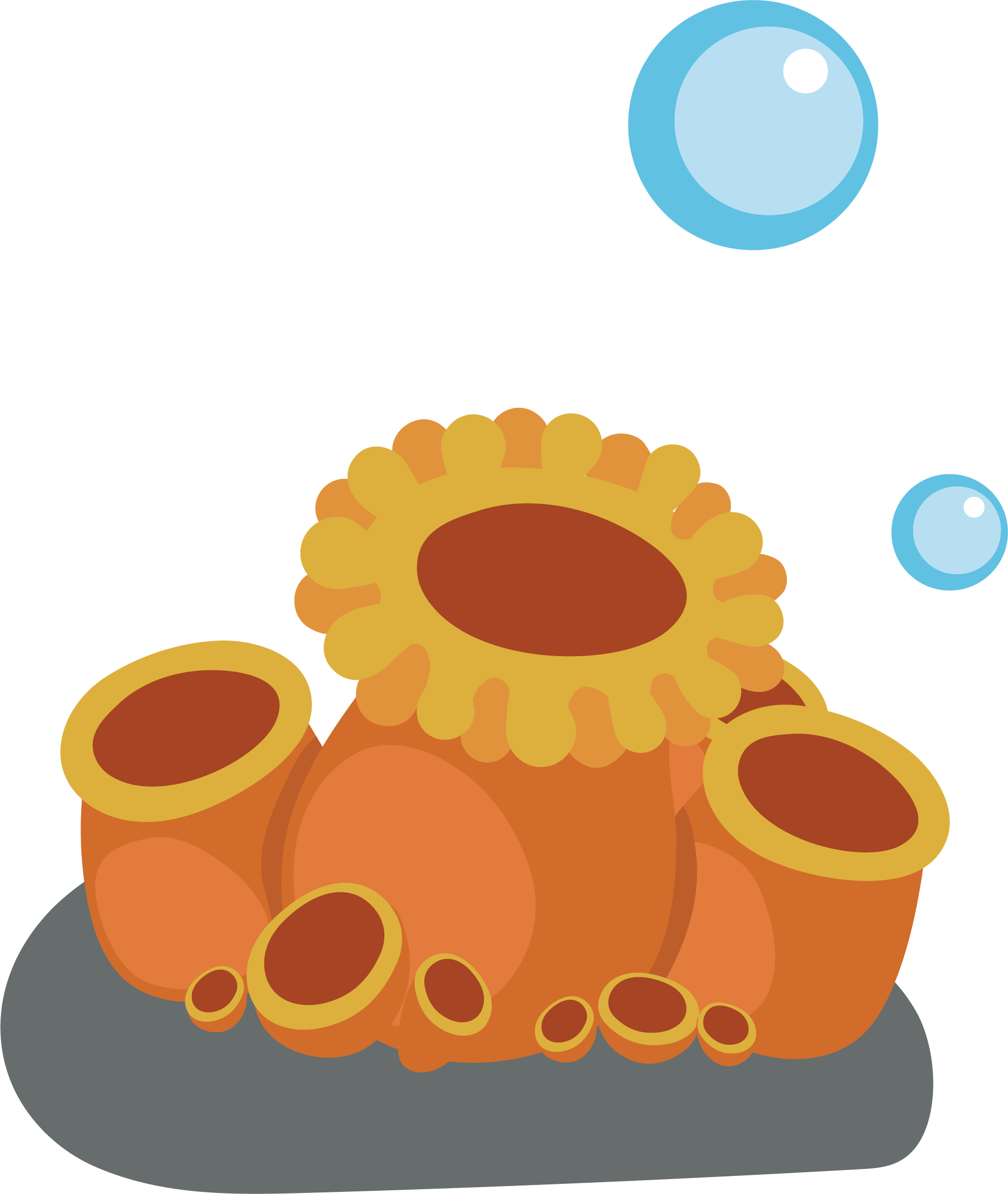 Vector Map Coral - Vector Graphics (1891x2240)