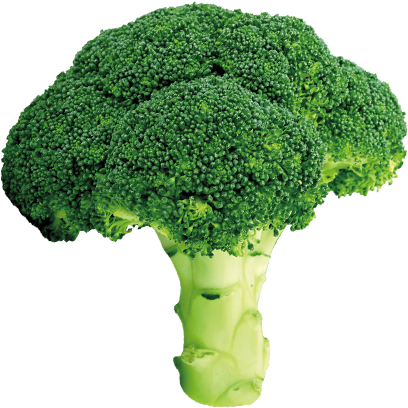 Gezonder Worden - Broccoli White Background (407x452)