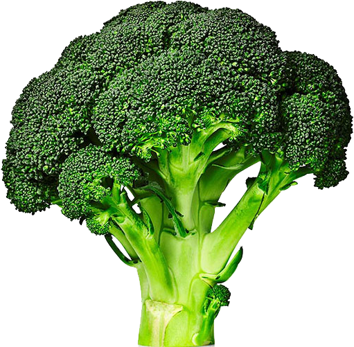 Broccolini Cabbage Vegetable Broccoli Sprouts - Broccolini Cabbage Vegetable Broccoli Sprouts (540x500)