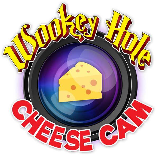 Visit Our World Famous 24/7 Live Ceese Cam - Live Television (600x600)