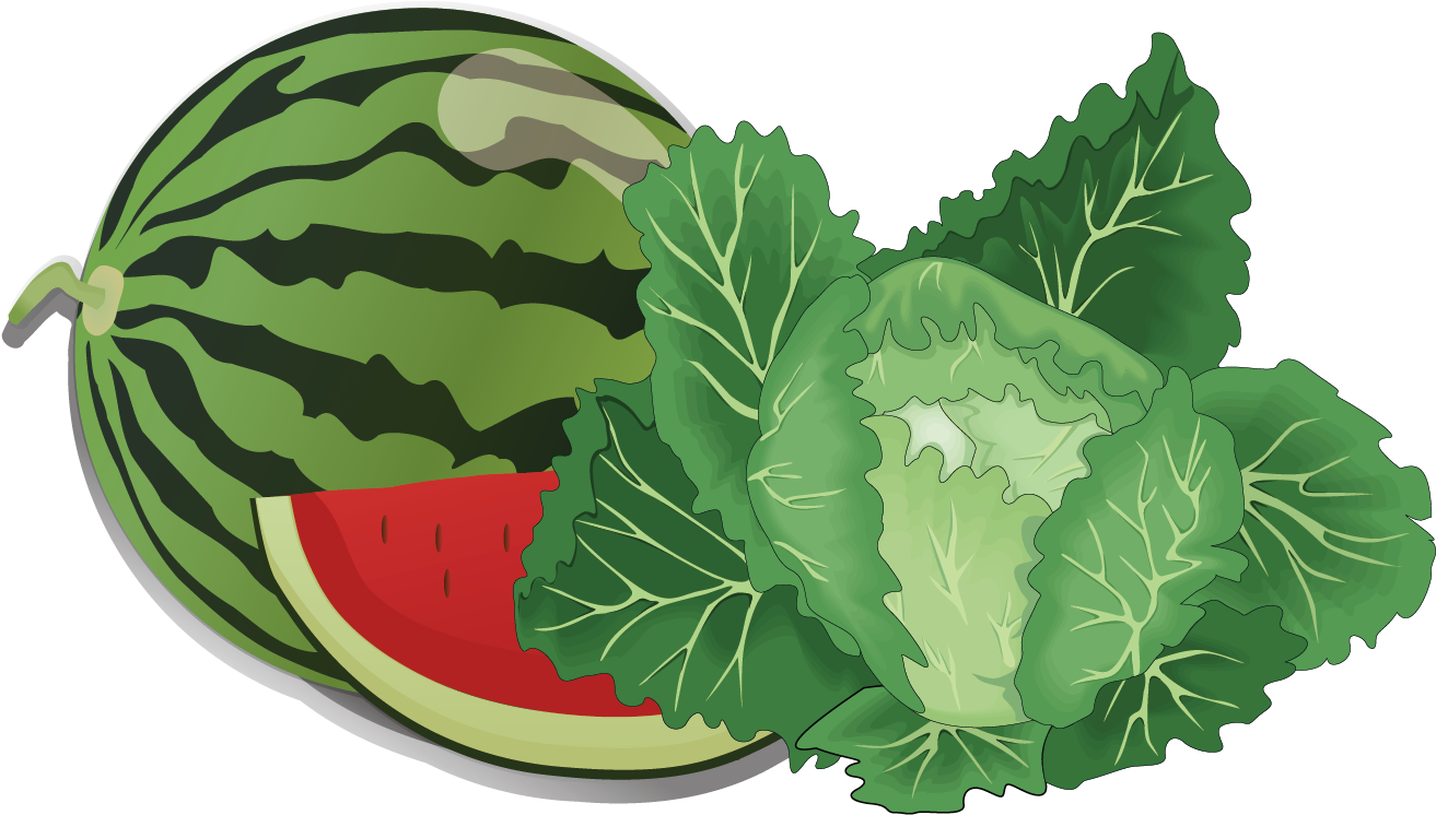 Fruit Vegetable Clip Art - Fruits And Vegetables Shower Curtain (1574x905)