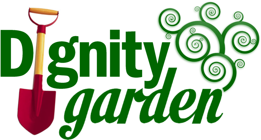 A Community Garden Project Come See Us Grow - Vines Design 2 Women's Tees (900x476)