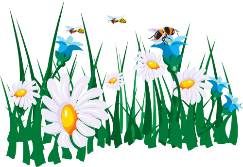 Flowers And Bees - Bees On Flowers Clip Art (500x345)