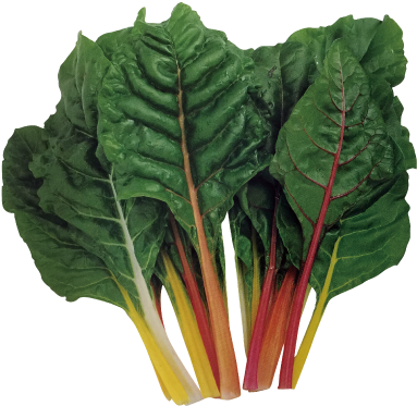 瑞士菾菜-種子 - 野菜たね 健康野菜 スイスチャード赤 1袋(5ml入) (400x400)