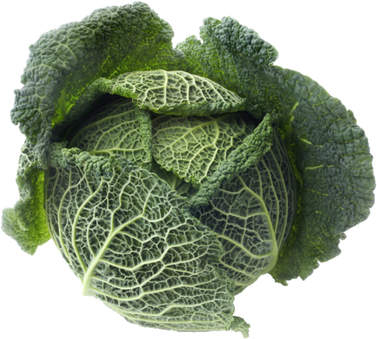 Krauskohl, Savoyer, Welschkohl Sind Weitere Bezeichnungen - Savoy Cabbage (600x600)