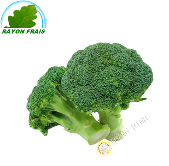 Naturally Treated Organic Broccoli Seeds (50 Seeds) (600x600)