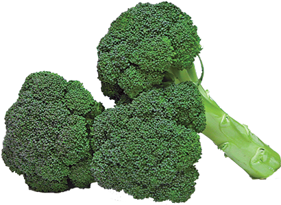 Broccoli Crowns - Broccoli (416x300)