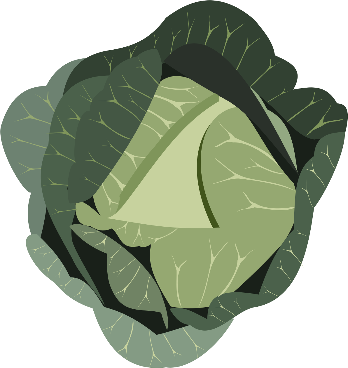 Red Cabbage Chinese Broccoli Vegetable Israeli Salad - Red Cabbage Chinese Broccoli Vegetable Israeli Salad (1721x1606)