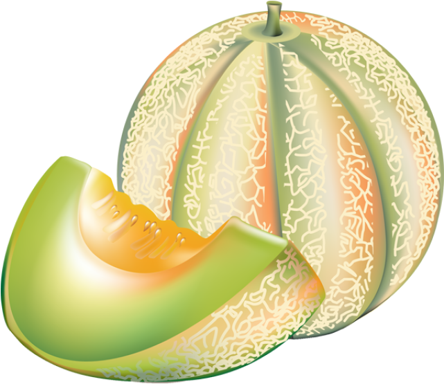 Honeydew Clipart - Melon Clip Art (640x576)