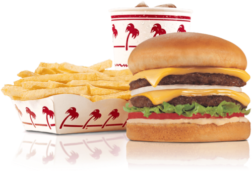 N Out Burger (500x351)