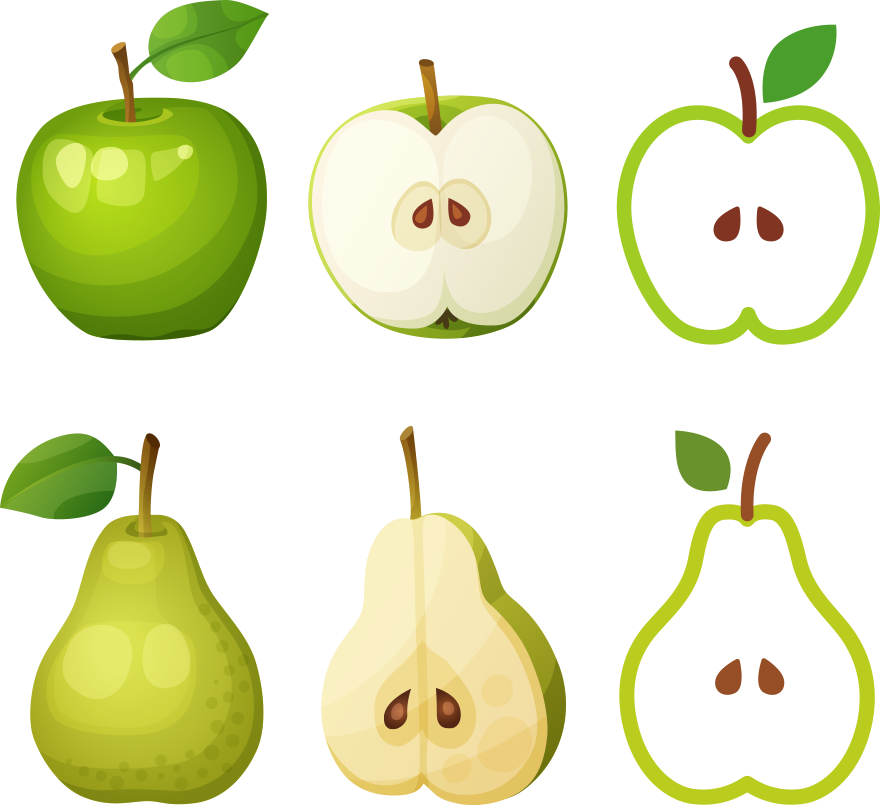 Pear Apple Photography Clip Art - Pear Apple Photography Clip Art (880x805)