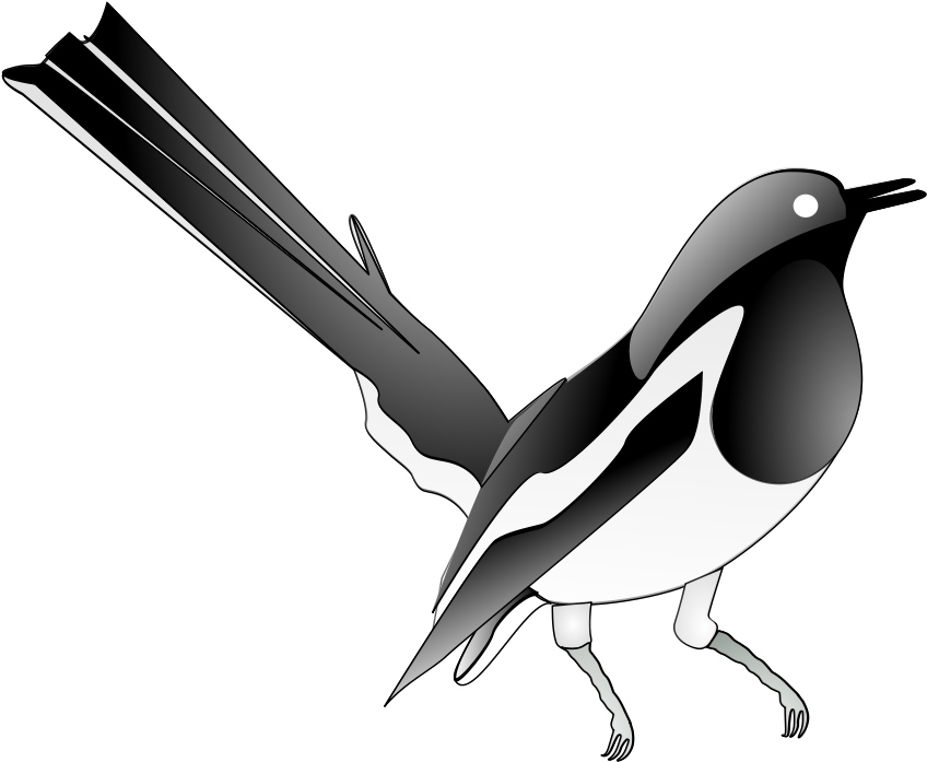 Songbird Clipart Black And White - Magpie Clip Art (900x750)