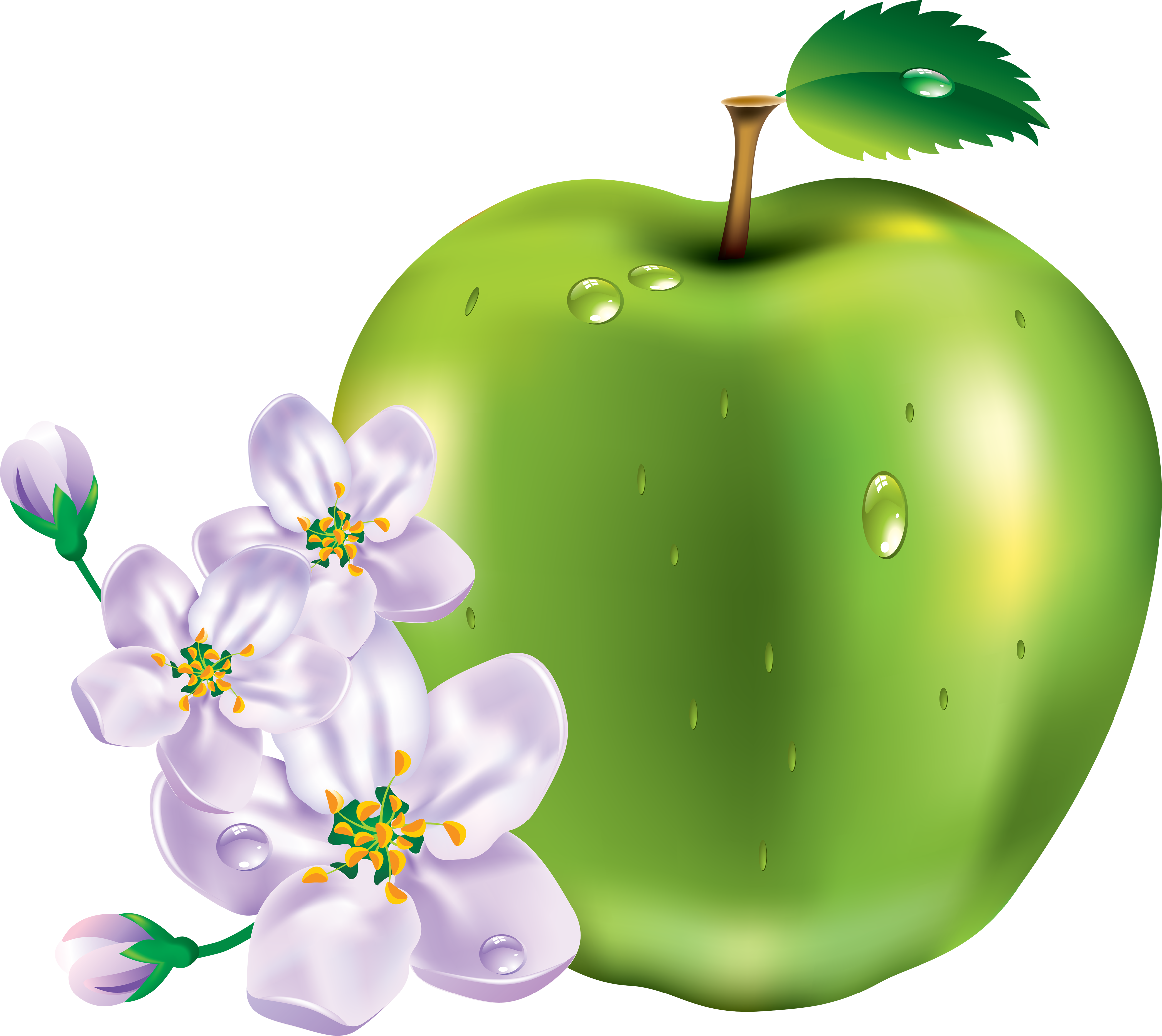 Apple Png - All Kinds Of Fruits (3498x3120)