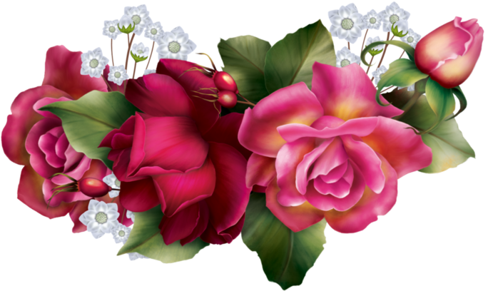 Garden Roses Flower Bouquet Cut Flowers Floral Design - Garden Roses Flower Bouquet Cut Flowers Floral Design (699x429)