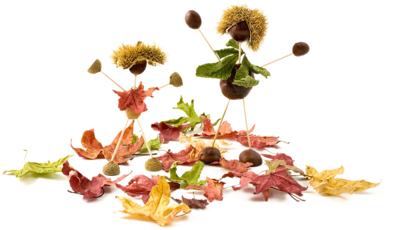 Conkers Acorn Stock - Conkers Acorn Stock (1280x853)