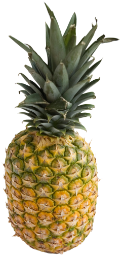 Pineapple Png Image - Pineapple Png (250x523)