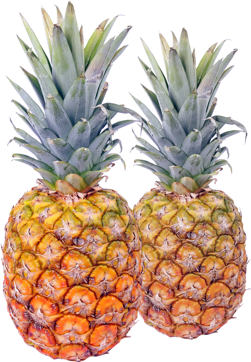 Pineapple Png Transparent Image - Pineapple Png (1010x1273)