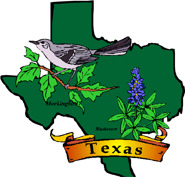 Age Discrimination Lawsuit In Texas - State Flower And Bird Of Texas (750x715)