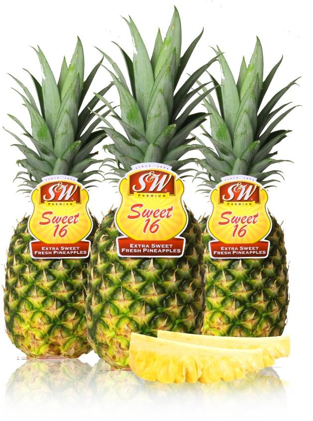 Pineapple - S&w Pineapple (629x847)