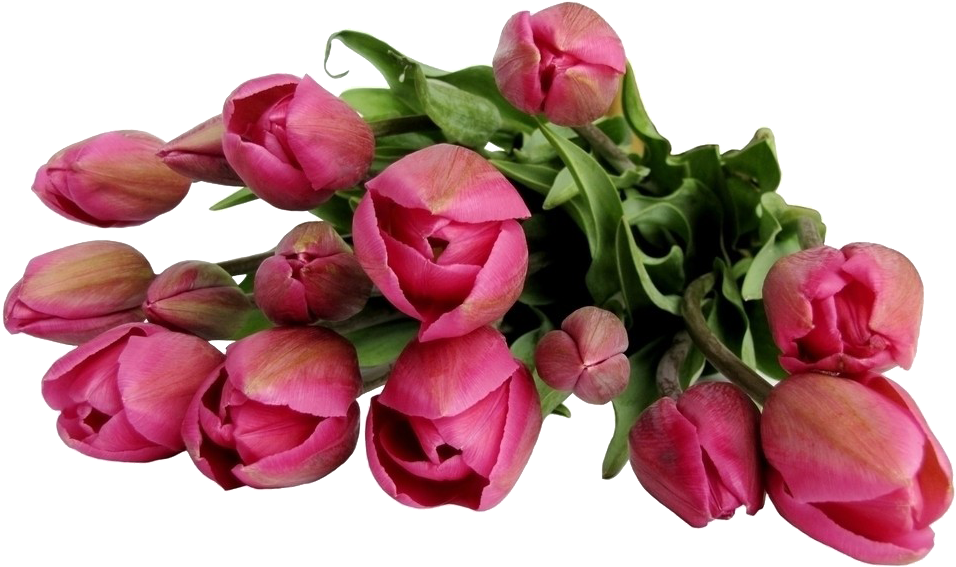 Flower Bouquet Stock - Flower Bouquet Stock (1024x768)