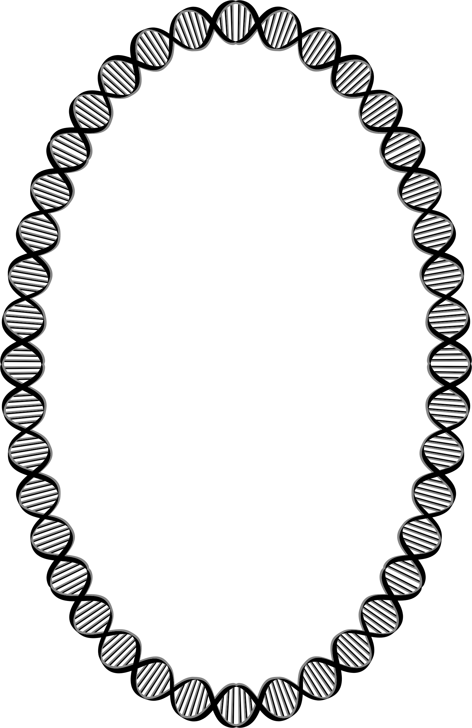 Big Image - Dna Oval (1516x2338)