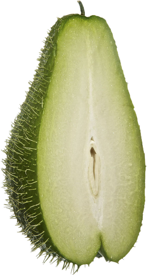 Chayote Melon Stock - Chayote Melon Stock (800x1200)