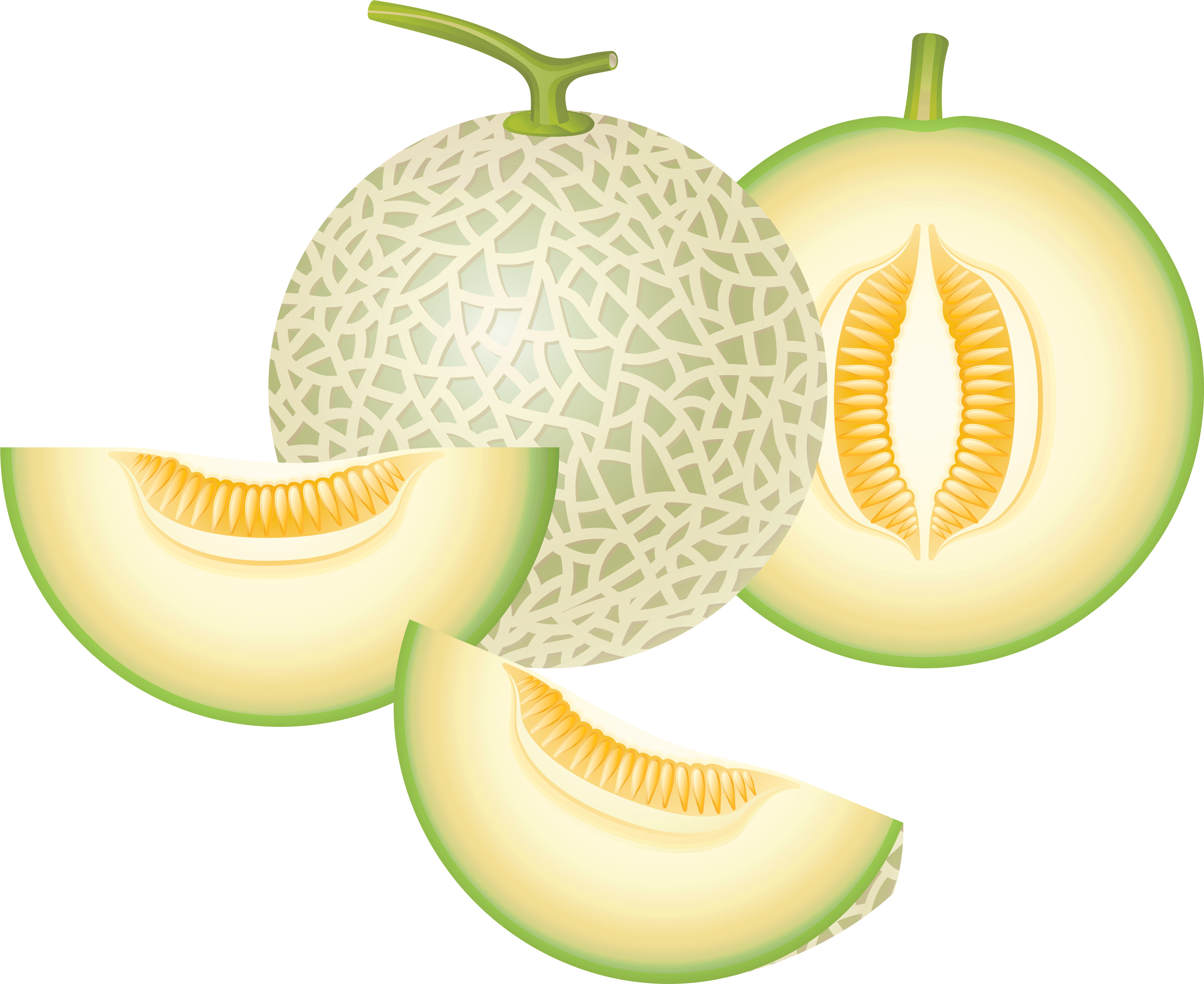 Cantaloupe Melon Png Clipart - Honeydew Clipart (4765x3979)