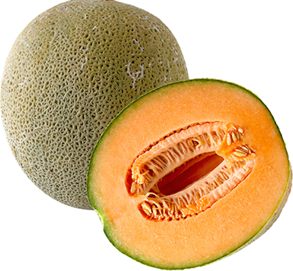 Cantaloupe Melon Png (584x540)