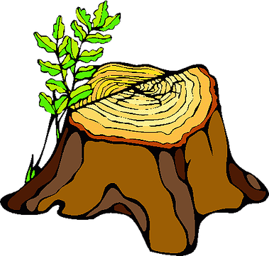 Tree Stump Clip Art (379x361)