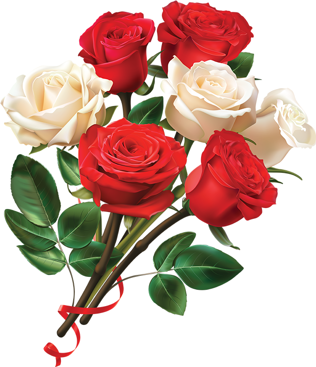 Garden Roses Paper Red Centifolia Roses Valentines - Garden Roses Paper Red Centifolia Roses Valentines (800x800)