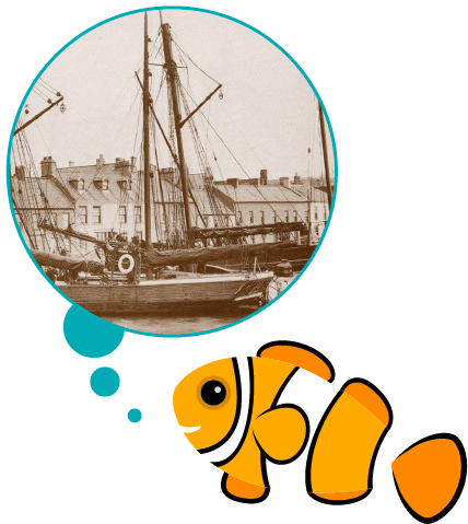 A Ship Building Town - Portaferry (428x479)