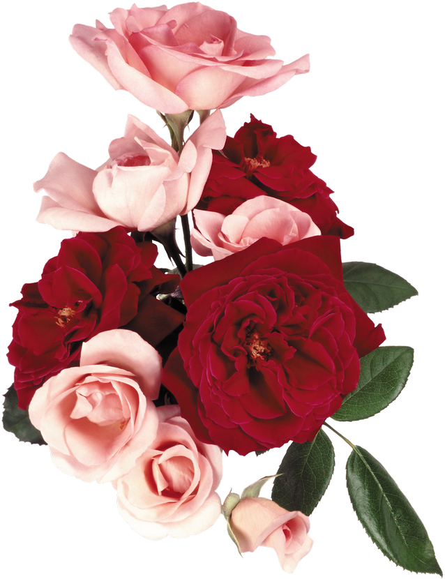 Flower Bouquet Garden Roses Clip Art - Flower Bouquet Garden Roses Clip Art (638x830)