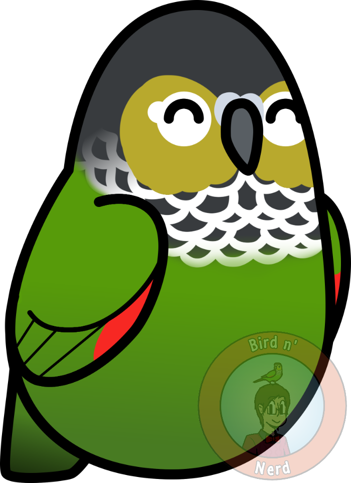 Too Many Birds - Too Many Birds (700x962)