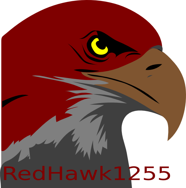 How To Set Use Redhawk1255 Gaming Logo Icon Png - Bald Eagle Clipart (594x600)