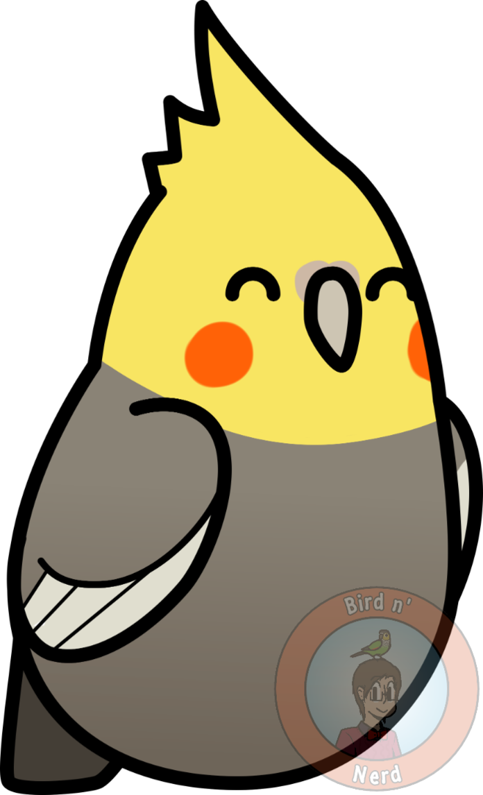 Too Many Birds - Too Many Birds (696x1146)