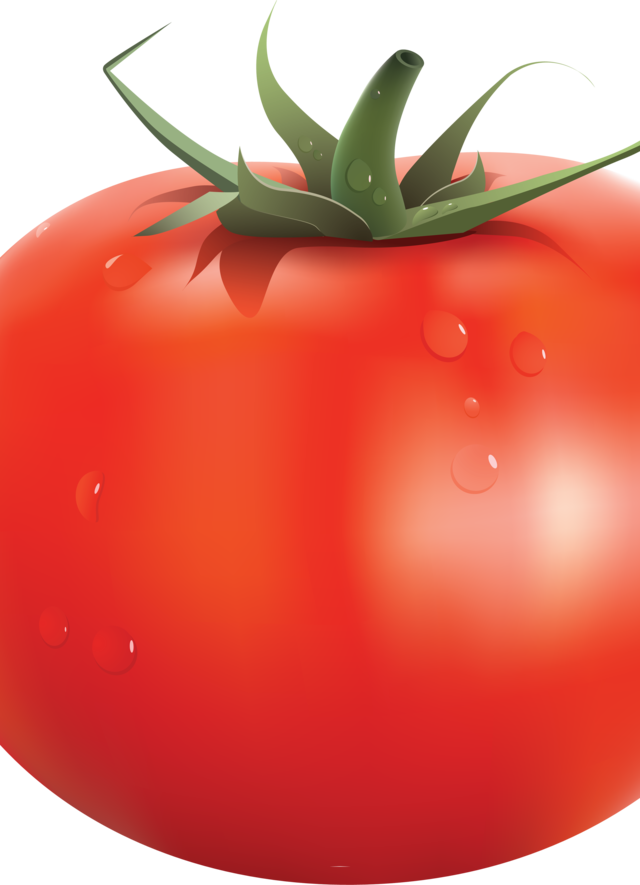 2 In 1 Stainless Steel Tomato Peeler Multifunctional (640x885)
