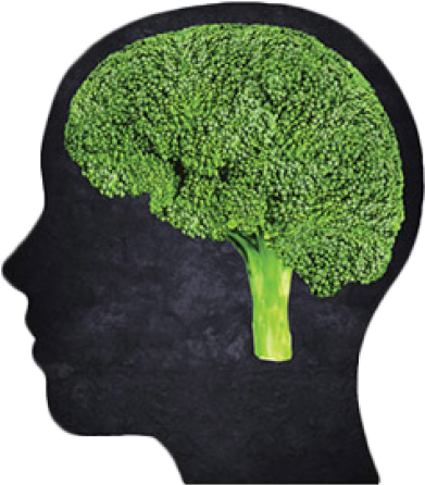 Image Caption Test And Example - Brain (600x681)