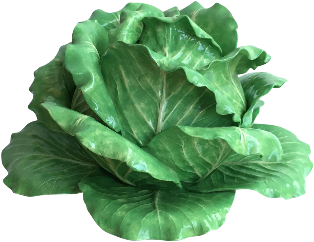 Butterhead Lettuce (1280x1280)