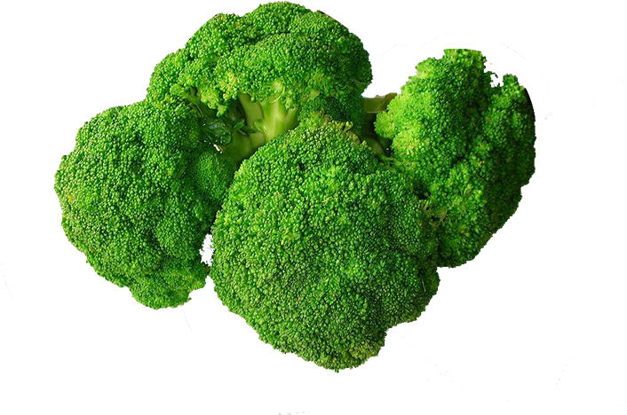 Broccoli Food Vegetable Eating Nutrition - Broccoli Food Vegetable Eating Nutrition (768x576)